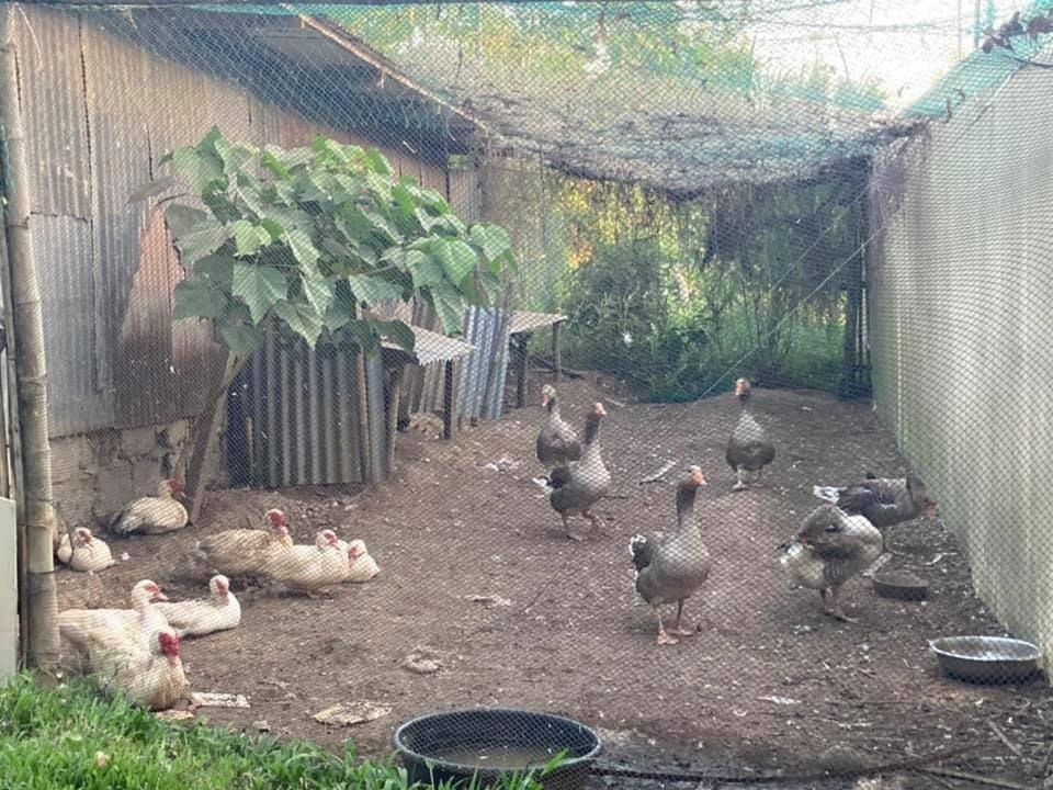 Ataalaya Farmhouse Batangas Exterior photo